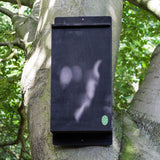 Large Colony Bat Box