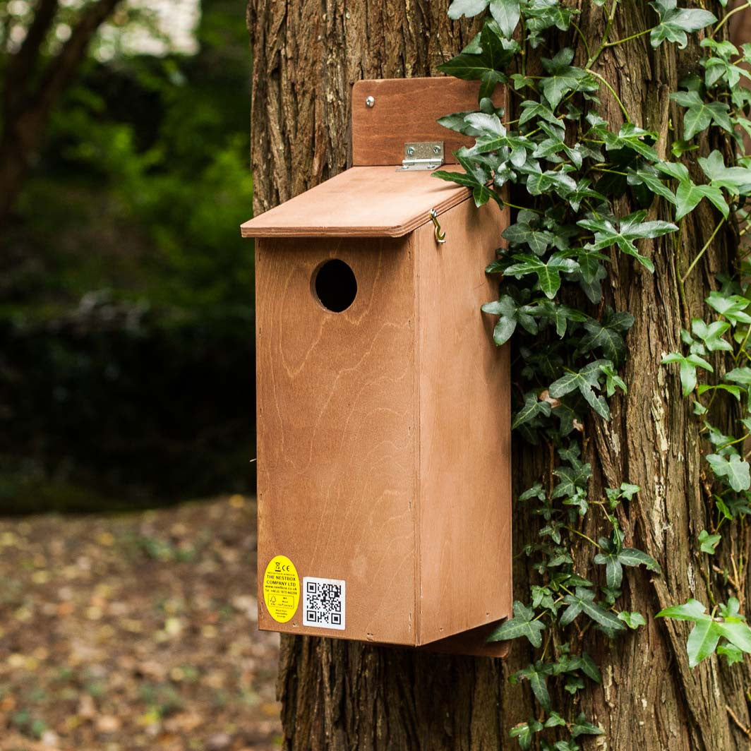 Starling Nest Box The Nestbox Company starling-nest-box-the-nestbox-company