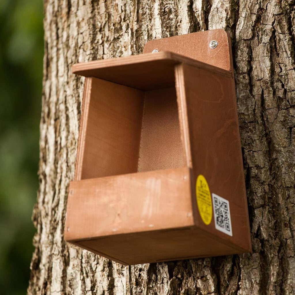 Nesting box for robins