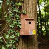 Nesting box for small birds