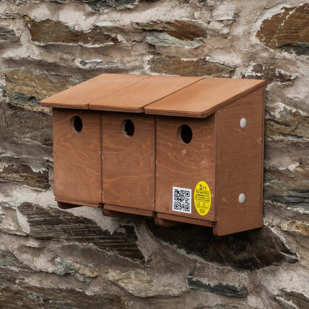 Sparrow terrace nest box can be extended