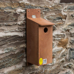 Starling Nest Box on wall