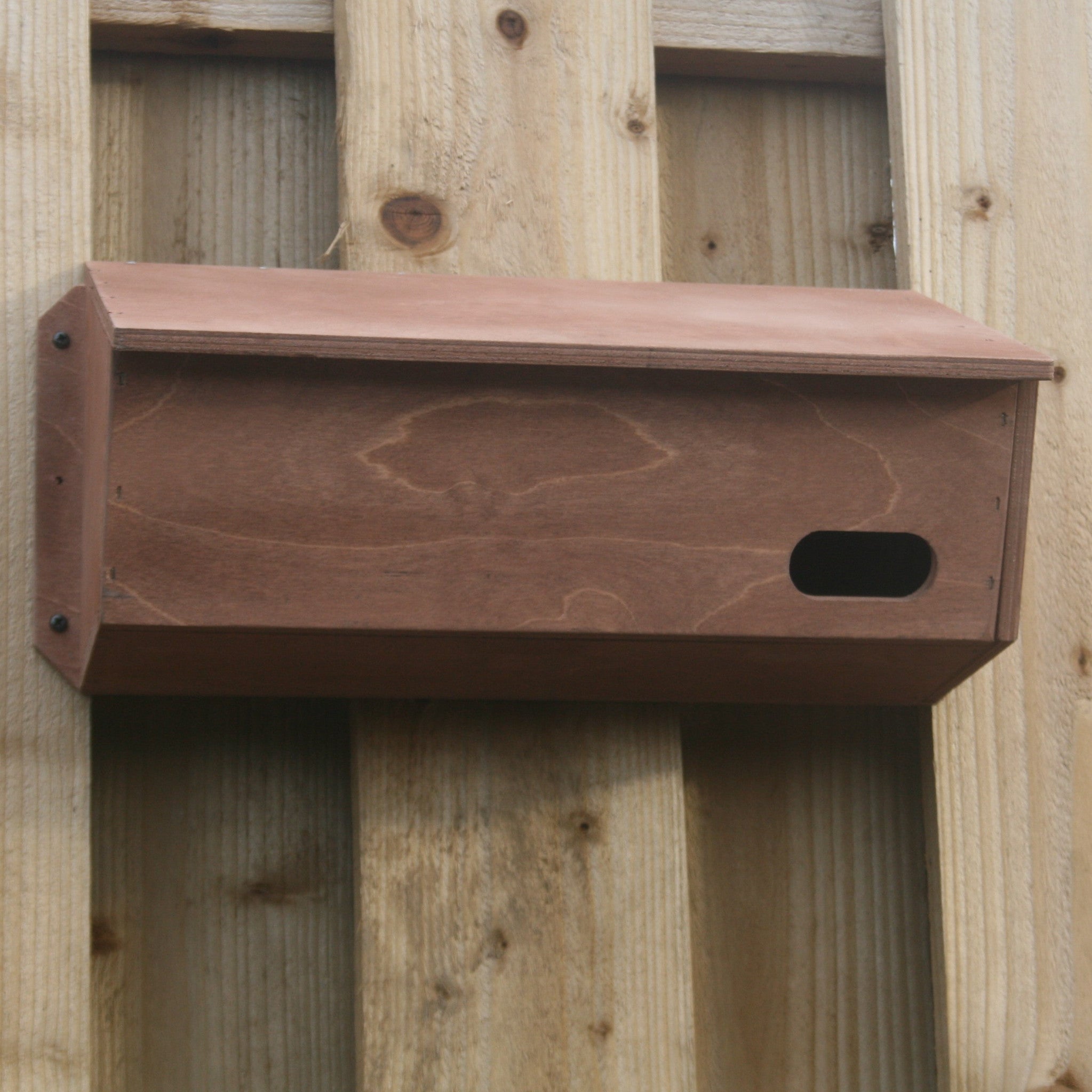 Swift Boxes Rspb Swift Nest Box | The Nestbox Company