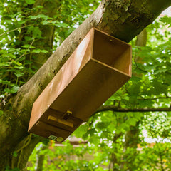 Tawny Owl Box on tree