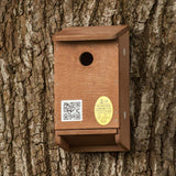 tree sparrow nesting box showing slide-out floor
