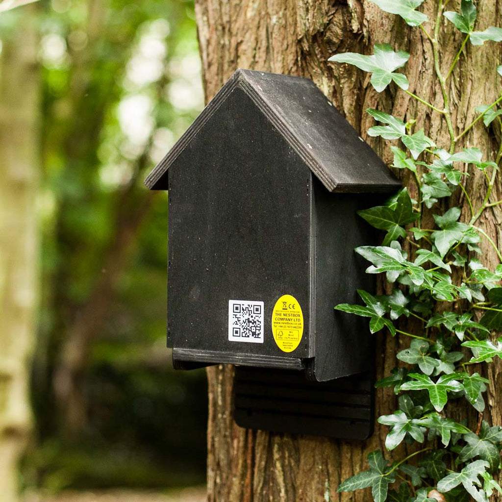 Cavity Bat Box Black Bat Box