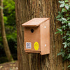 Tree Sparrow Nest Box