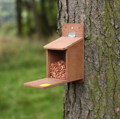 Squirrel feeder with supply of nuts
