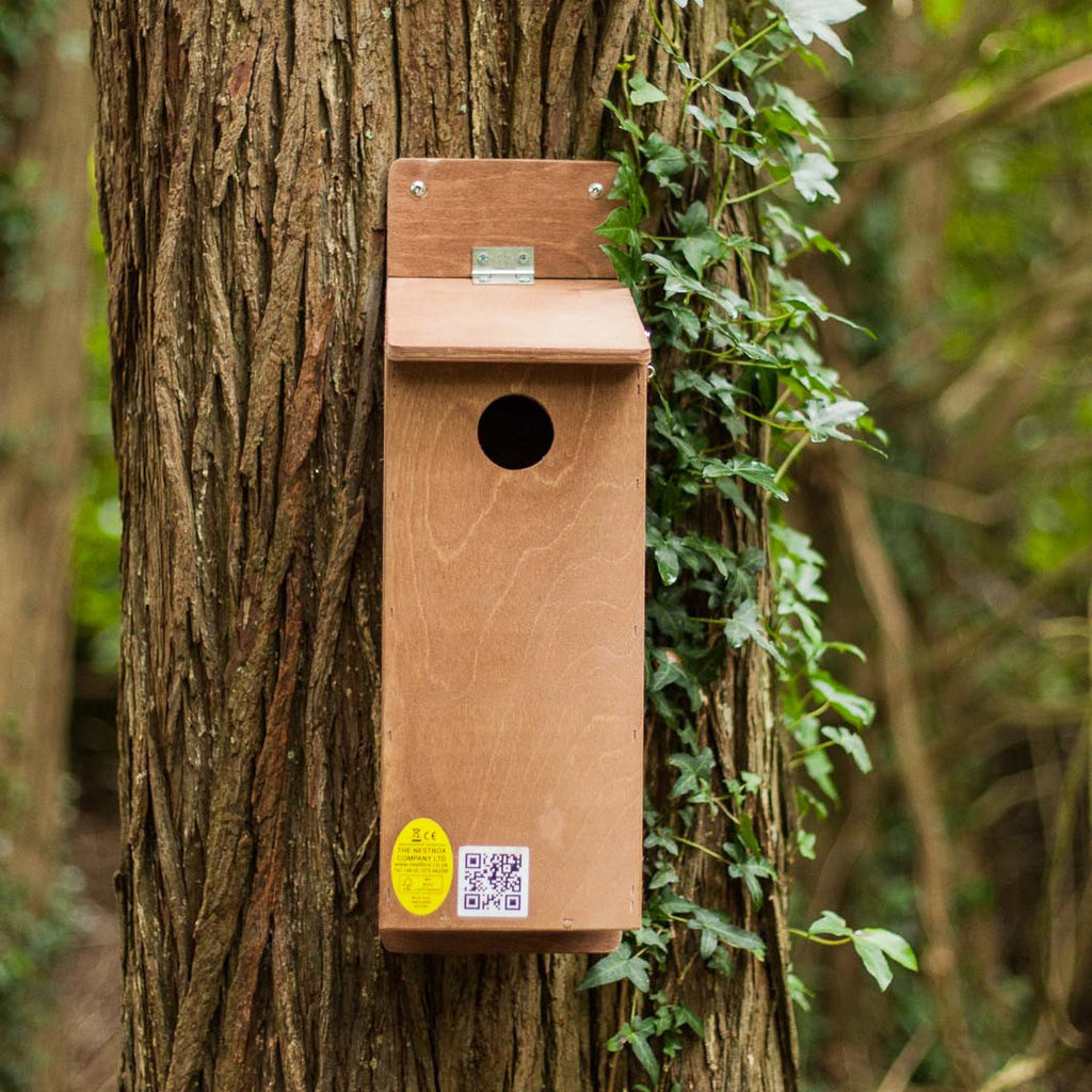 Starling Nest Box on tree