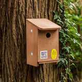 tree sparrow nesting box mount several close by 