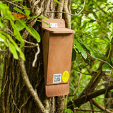 treecreeper box mounted on tree trunk